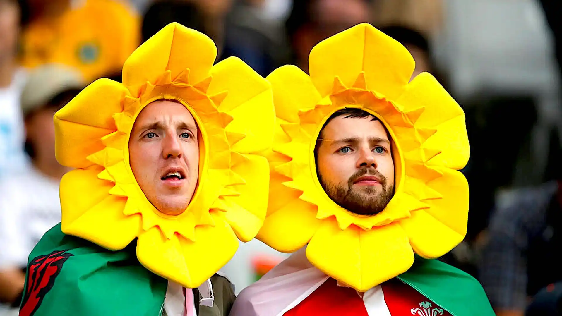 Sightseeing: Exploring Wales’ Rich Culture